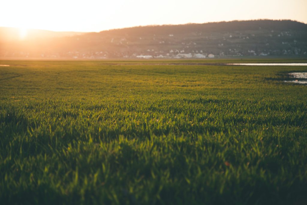 Earthing outdoors - reducing EMF exposure and radiation. How to make your home low-EMF.