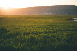 Earthing outdoors - reducing EMF exposure and radiation. How to make your home low-EMF.