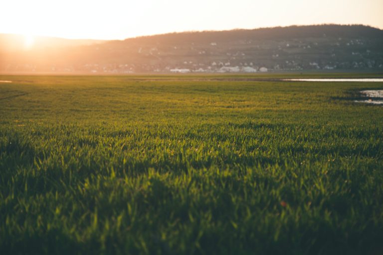 Read more about the article How to Make Your Home a Low-EMF Haven